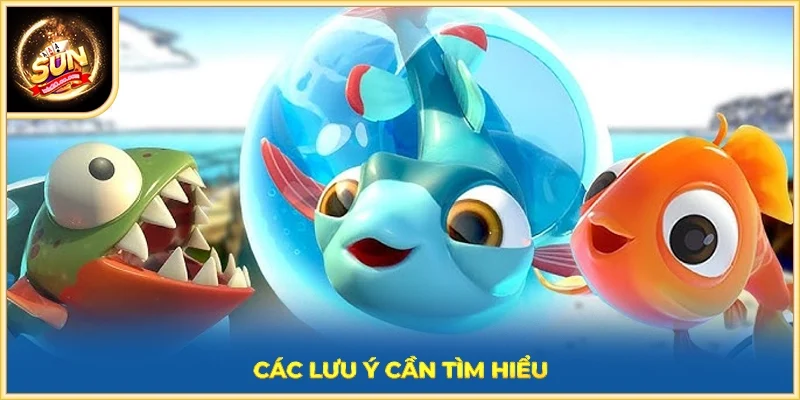 Các lưu ý cần tìm hiểu