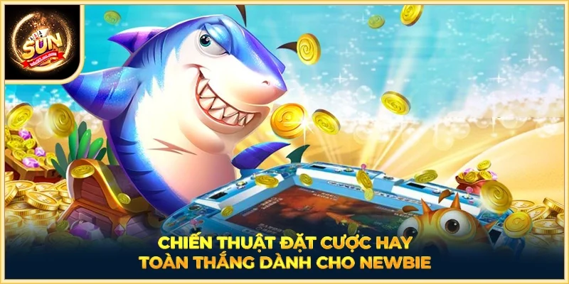 Chiến thuật đặt cược hay toàn thắng dành cho newbie
