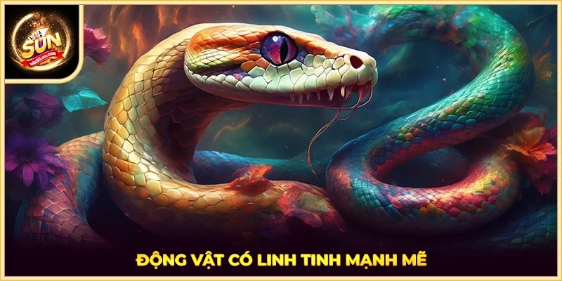 Động vật có linh tinh mạnh mẽ