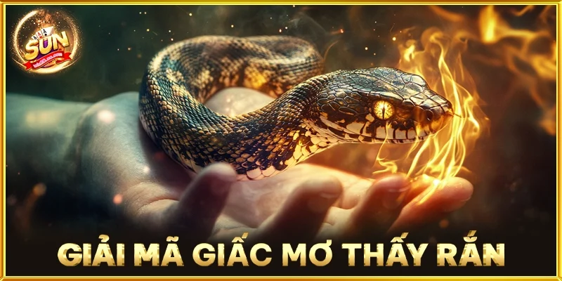 Giải Mã Giấc Mơ Thấy Rắn