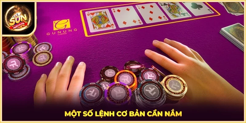 Một số lệnh cơ bản cần nắm