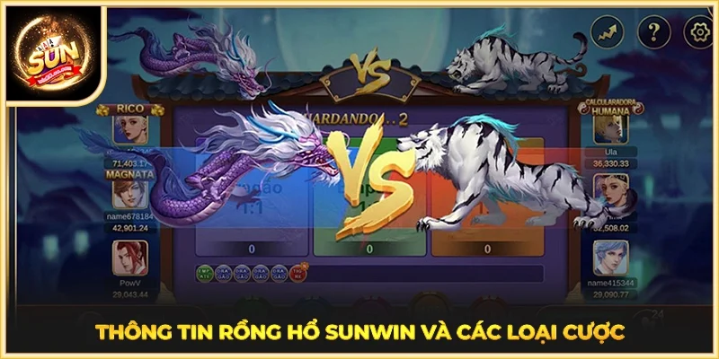 Thông tin Rồng hổ SUNWIN và các loại cược