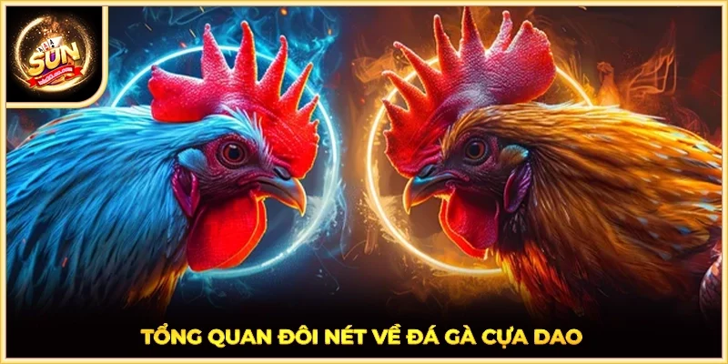 Tổng quan đôi nét về đá gà cựa dao