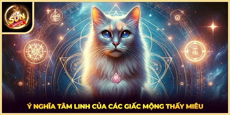 Ý nghĩa tâm linh của các giấc mộng thấy miêu